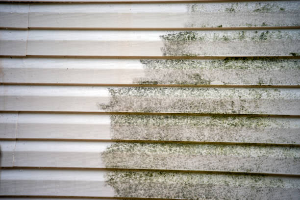 Best Custom Siding Design  in Zebulon, NC