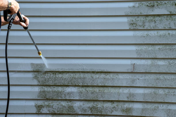 Siding Removal and Disposal in Zebulon, NC